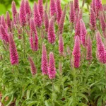 Вероника Хайдекинд на Камчатке