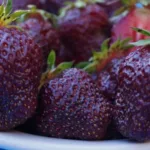 Клубника Черный принц фото